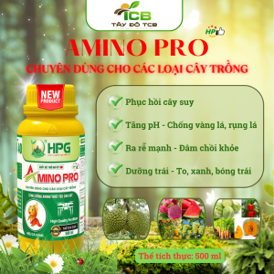 Phân Bón Lá Hữu Cơ, Sinh Học, Đa Lượng AMINO PRO | Giải Pháp Phục Hồi Nhanh, Nuôi Cây Khỏe, Canh Tác Bền Vững