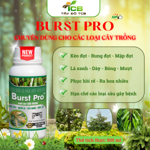 Phân Bón Lá NPK Burst Pro | Giải Pháp Dinh Dưỡng Mạnh, Bật Sinh Trưởng, Tăng Năng Suất Toàn Diện