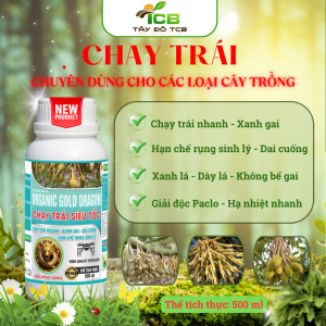 Phân Bón Hữu Cơ Chạy Trái Siêu Tốc | Giải Pháp Thúc Trái Lớn Nhanh, Nặng Ký, Không Suy Cây