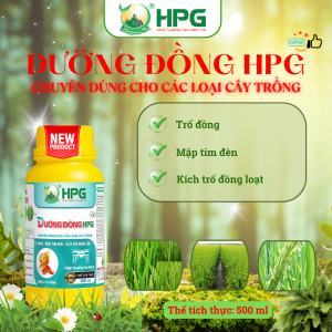 Phân Bón Hữu Cơ Dưỡng Đồng HPG | Giải Pháp Bổ Sung Đồng, Cây Khỏe, Năng Suất Cao