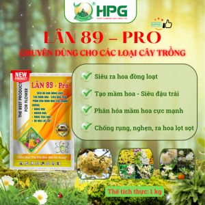 Phân Bón Vi Lượng Lân 89 Pro | Giải Pháp Lân Cao Kích Rễ Mạnh, Ra Hoa Đồng Loạt, Đậu Trái Bền