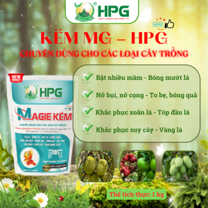 Phân Bón Vi Lượng Kẽm MG HPG | Giải Pháp Bổ Sung Vi Lượng, Lá Xanh, Đọt Mập, Năng Suất Cao