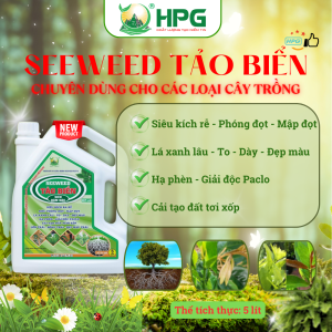 Phân Bón Vi Lượng Tảo Biển | Giải Pháp Sinh Học Giúp Cây Khỏe Rễ, Xanh Lá, Tăng Sức Đề Kháng