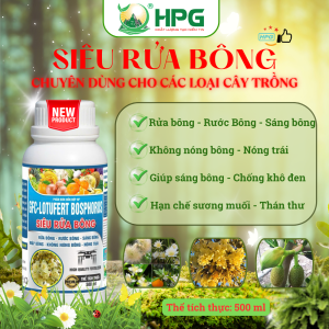 Phân Bón Hỗn Hợp NP Siêu Rửa Bông | Giải Pháp Làm Sạch Bông, Bung Hoa Mạnh, Ra Hoa Đồng Loạt