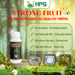 Phân Bón Hữu Cơ Strong Fruit | Giải Pháp Nuôi Trái Khỏe, Lớn Nhanh, Chắc Ruột, Nặng Ký