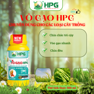 Phân Bón Hữu Cơ Vô Gạo HPG | Giải Pháp Nuôi Đòng, Hạt Chắc, Năng Suất Cao