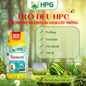 Phân Bón Hữu Cơ Trổ Đều HPG | Giải Pháp Ra Hoa Đồng đều, Nuôi Trái Chắc, Năng Suất Cao