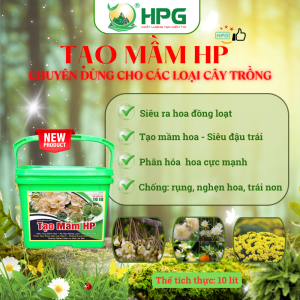 Phân Bón Hỗn Hợp NP Tạo Mầm HP | Giải Pháp Kích Thích Tạo Mầm Mạnh, Bật Chồi Đồng Loạt, Dưỡng Cây Khỏe